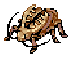 Sprite de Golden Thief Bug