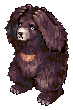 Sprite de Zipper Bear